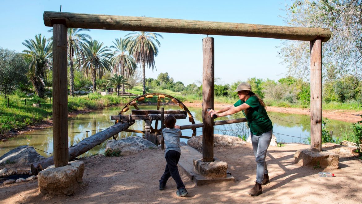 מסע בזמן לימי אבותינו: חג שבועות בפארק נאות קדומים